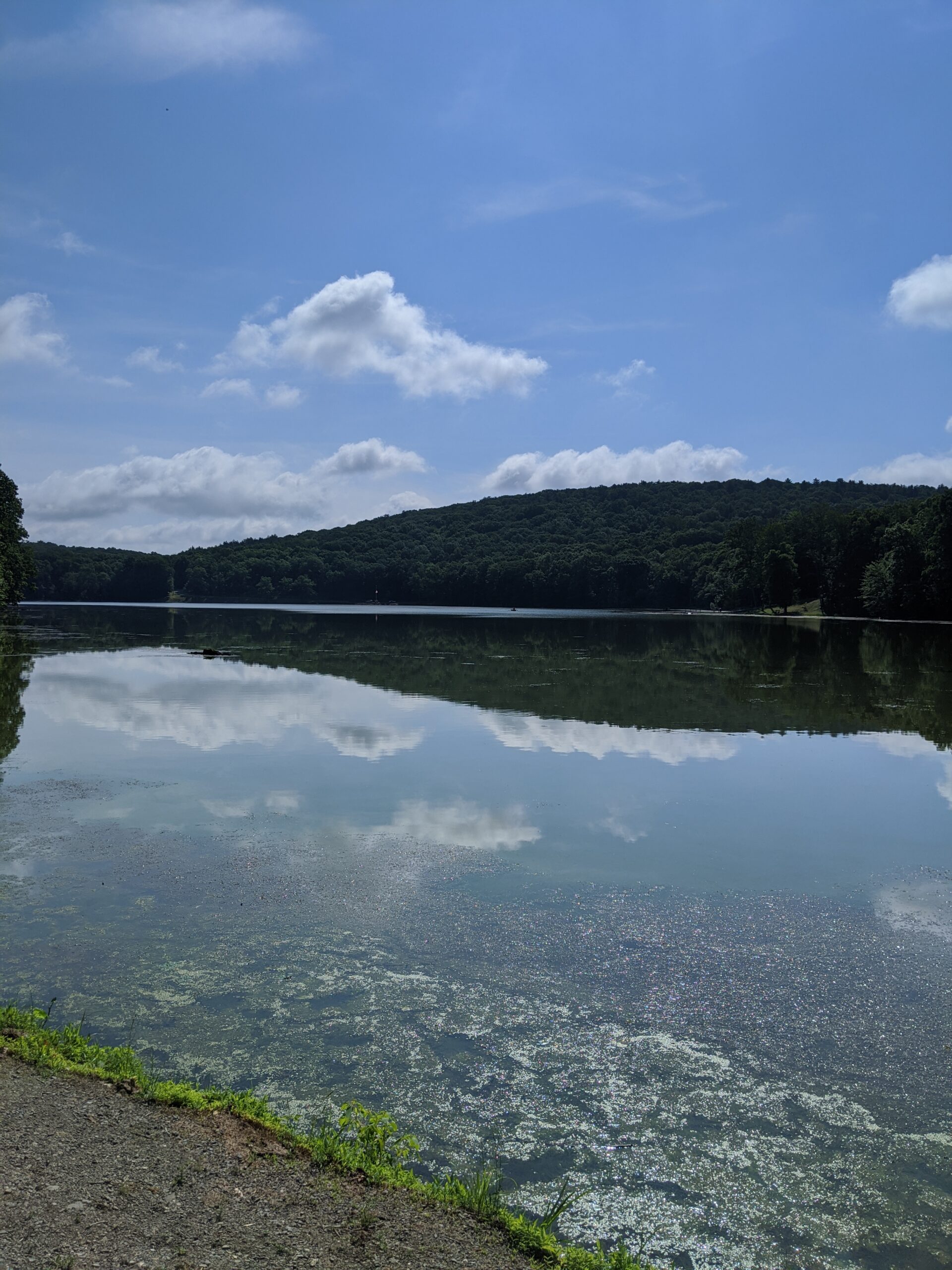 Winding Hills Park – Diamond Lake