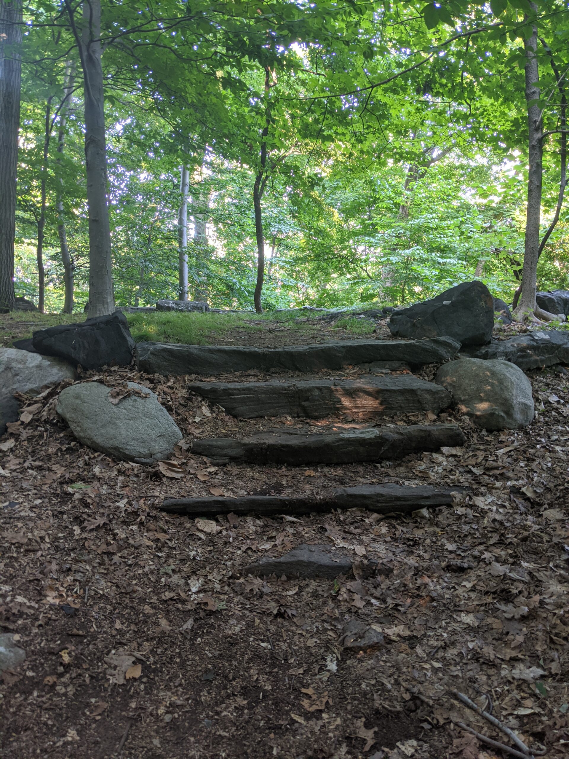 The Irvington Woods – Hermit’s Grave, Harriman Road, Macy Monument, Terrace, Steps