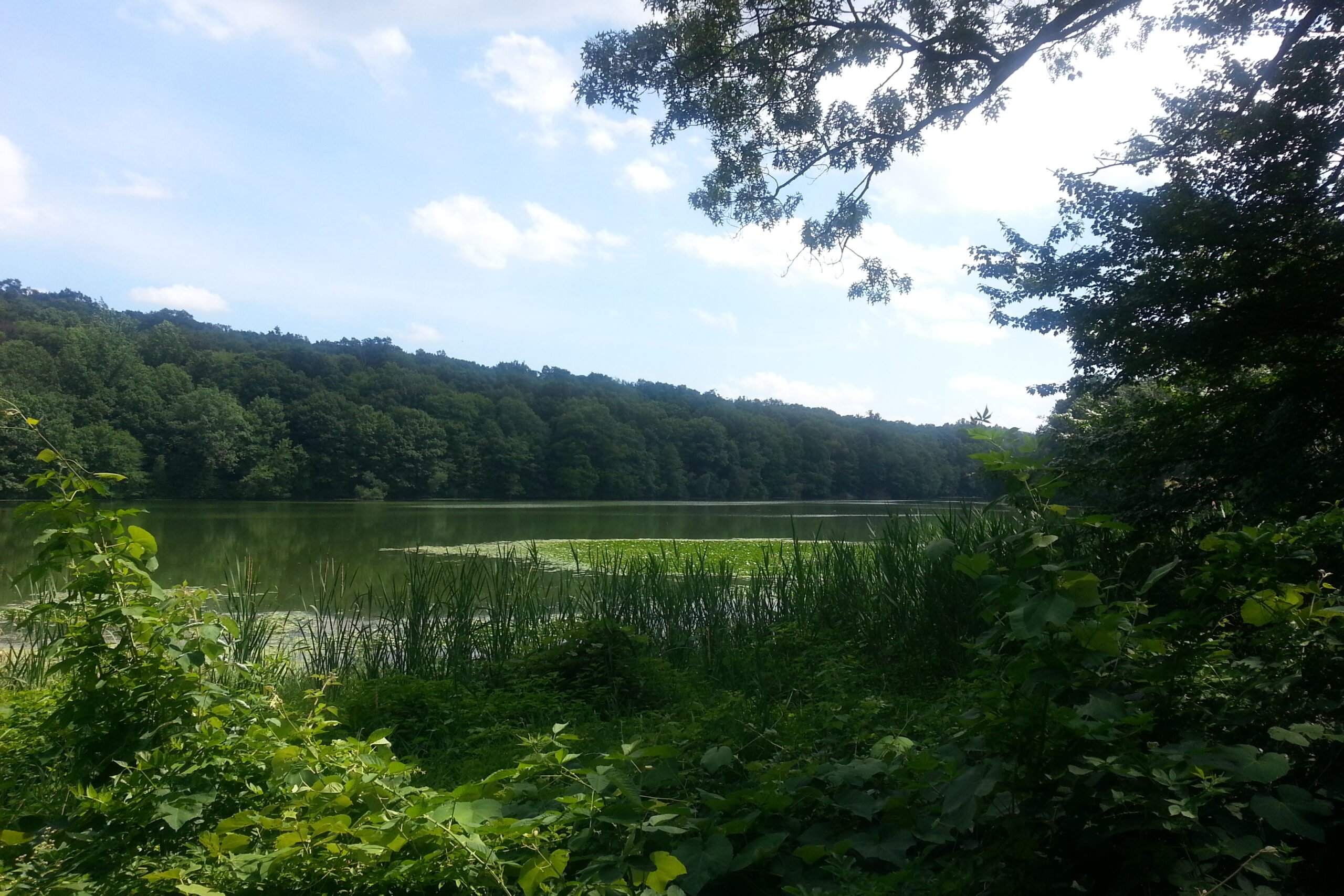 Rockefeller State Park Preserve – Brothers’ Path, Swan Lake
