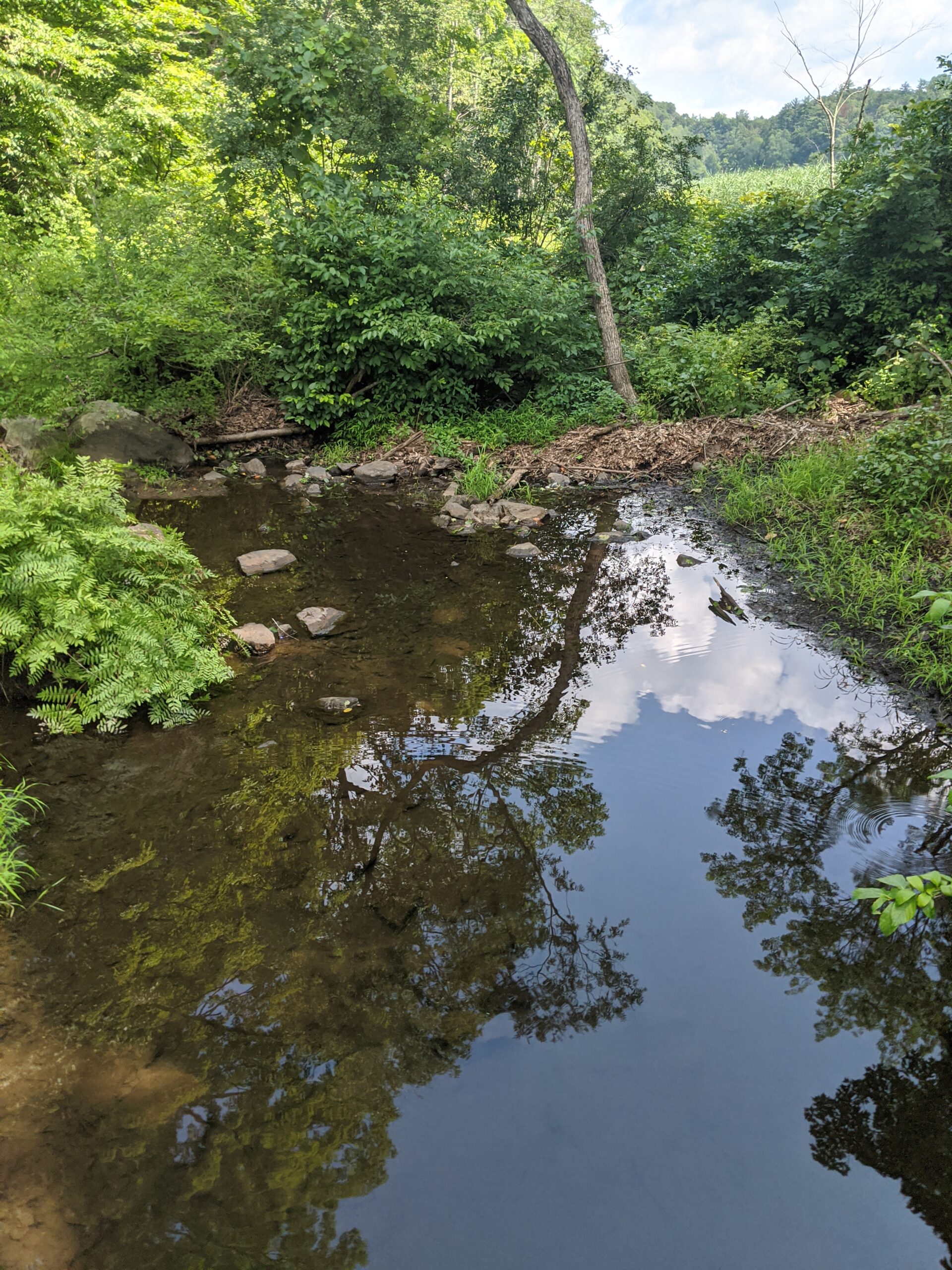 Fahnestock State Park – Pelton Pond, Three Lakes Trail, Canopus Lake, Candlewood Hill Trail
