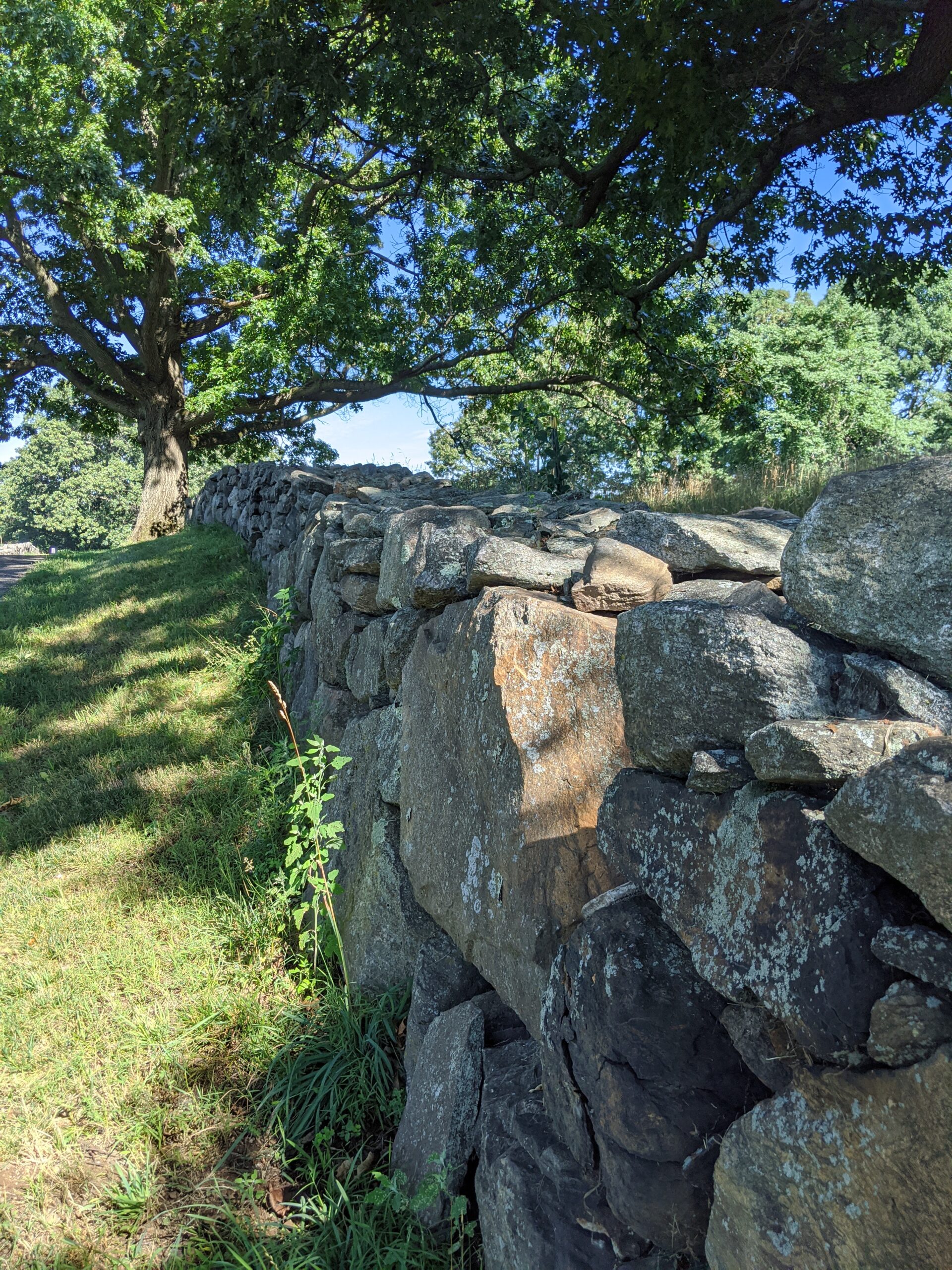 Rockefeller State Park Preserve – Swan Lake, Buttermilk Hill, Rock Wall Loop, Spring Trail