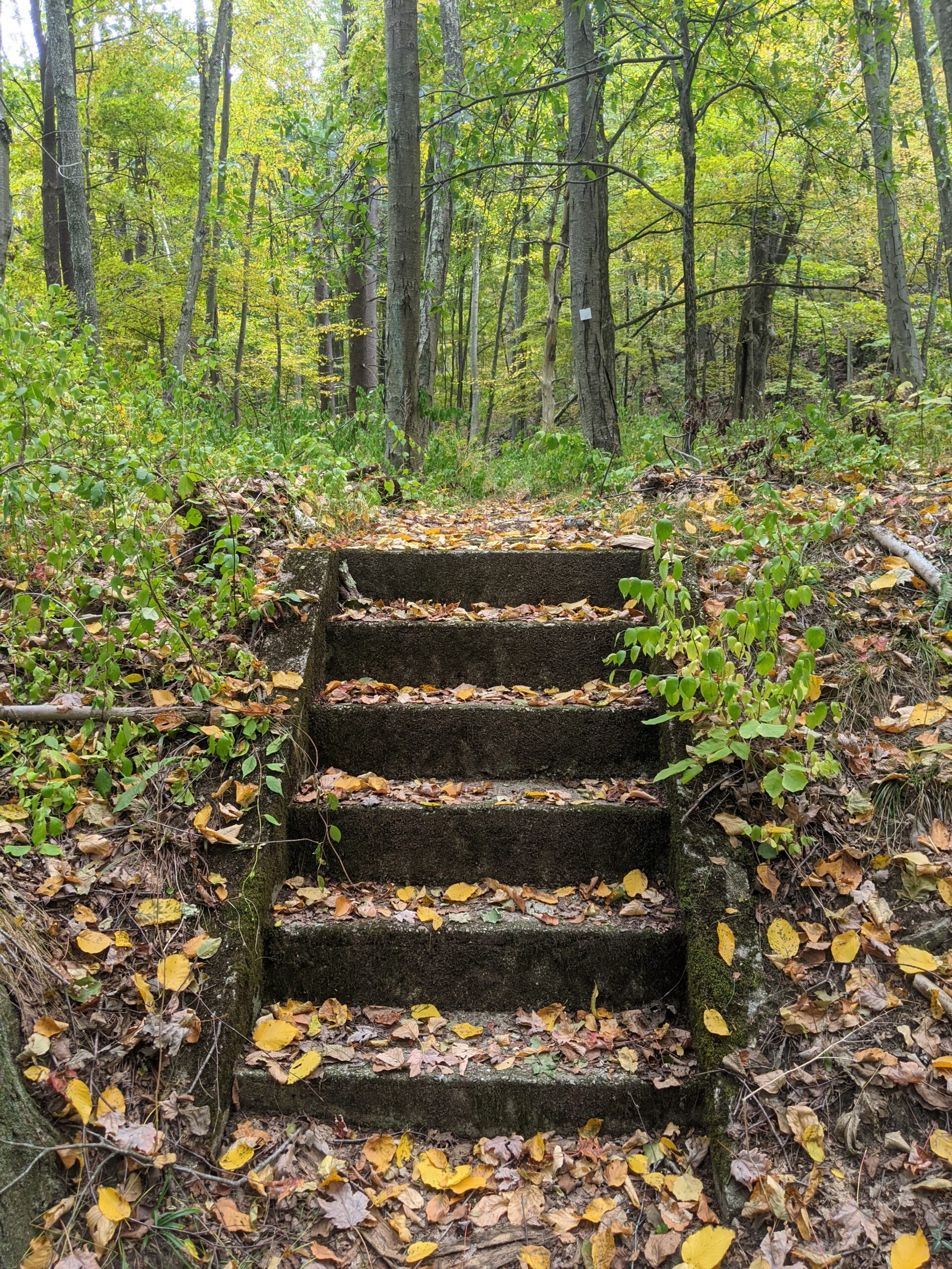 Ward Pound Ridge Reservation – Raven Rocks, CCC Camp, Castle Rock, Spy Rock, Dancing Rock