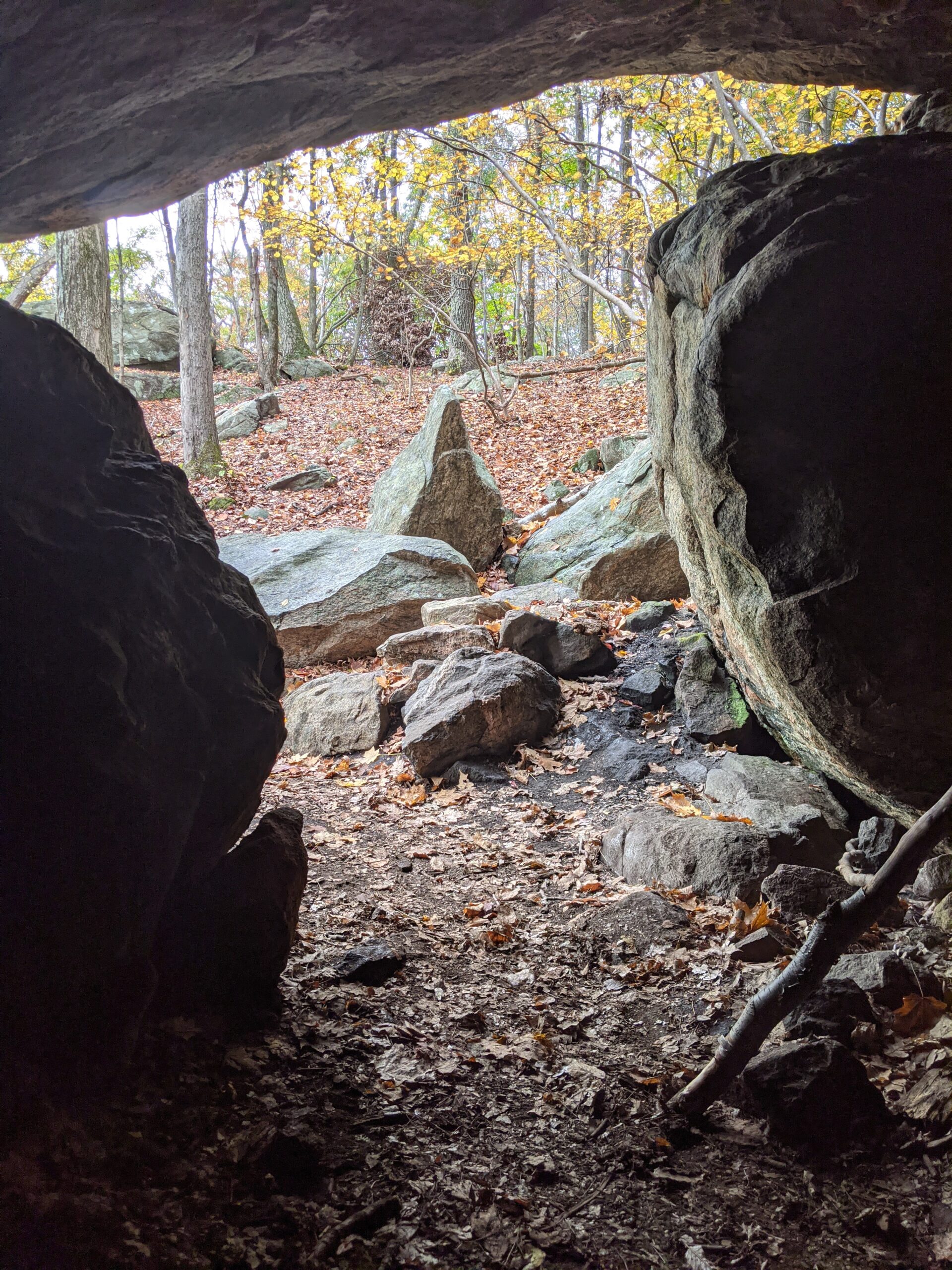 Ward Pound Ridge Reservation – Leatherman’s Cave, Wildflower Garden, Nature Museum