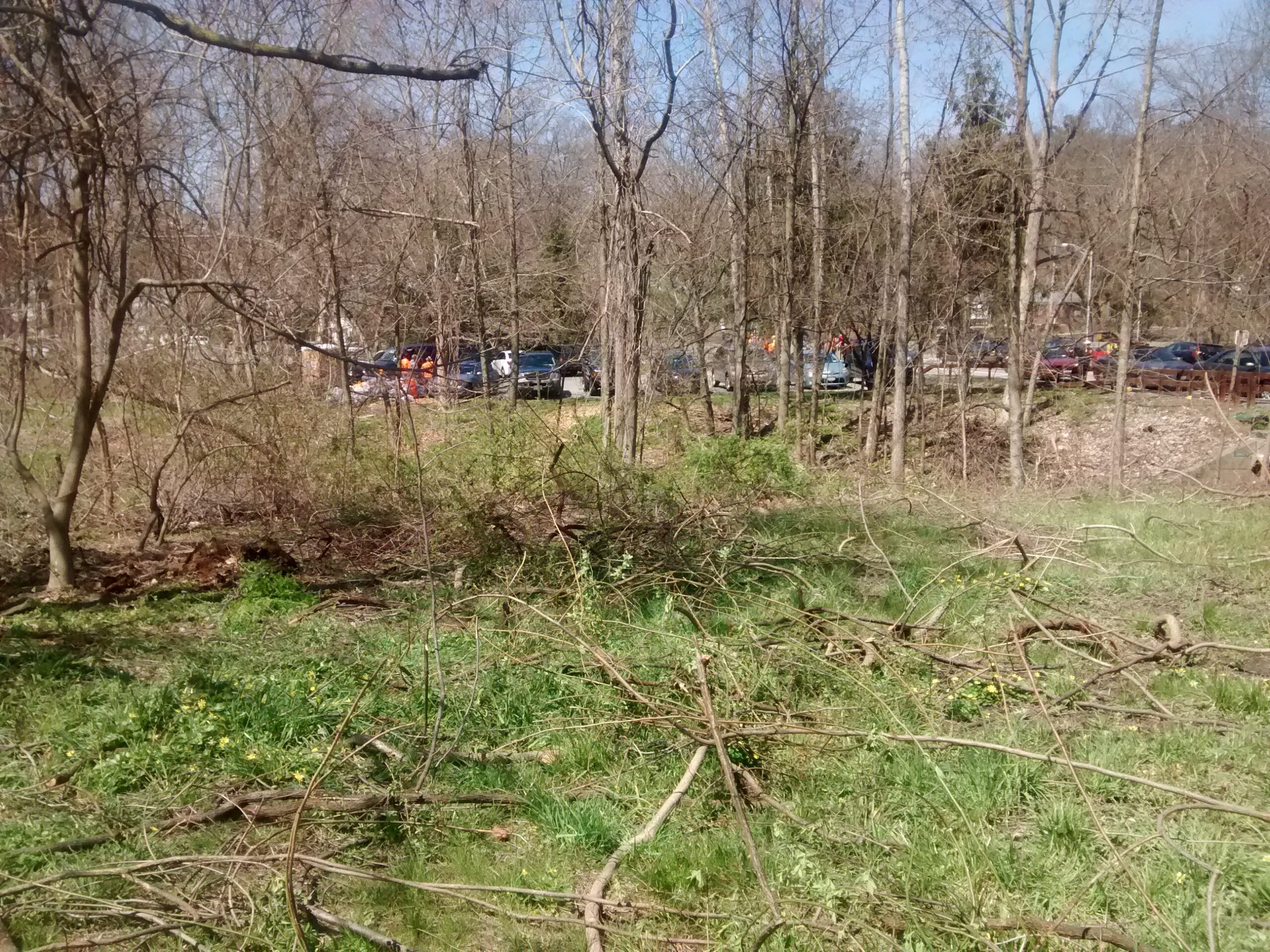 Great Saw Mill River Cleanup 2016 – Farragut Avenue,  Hastings