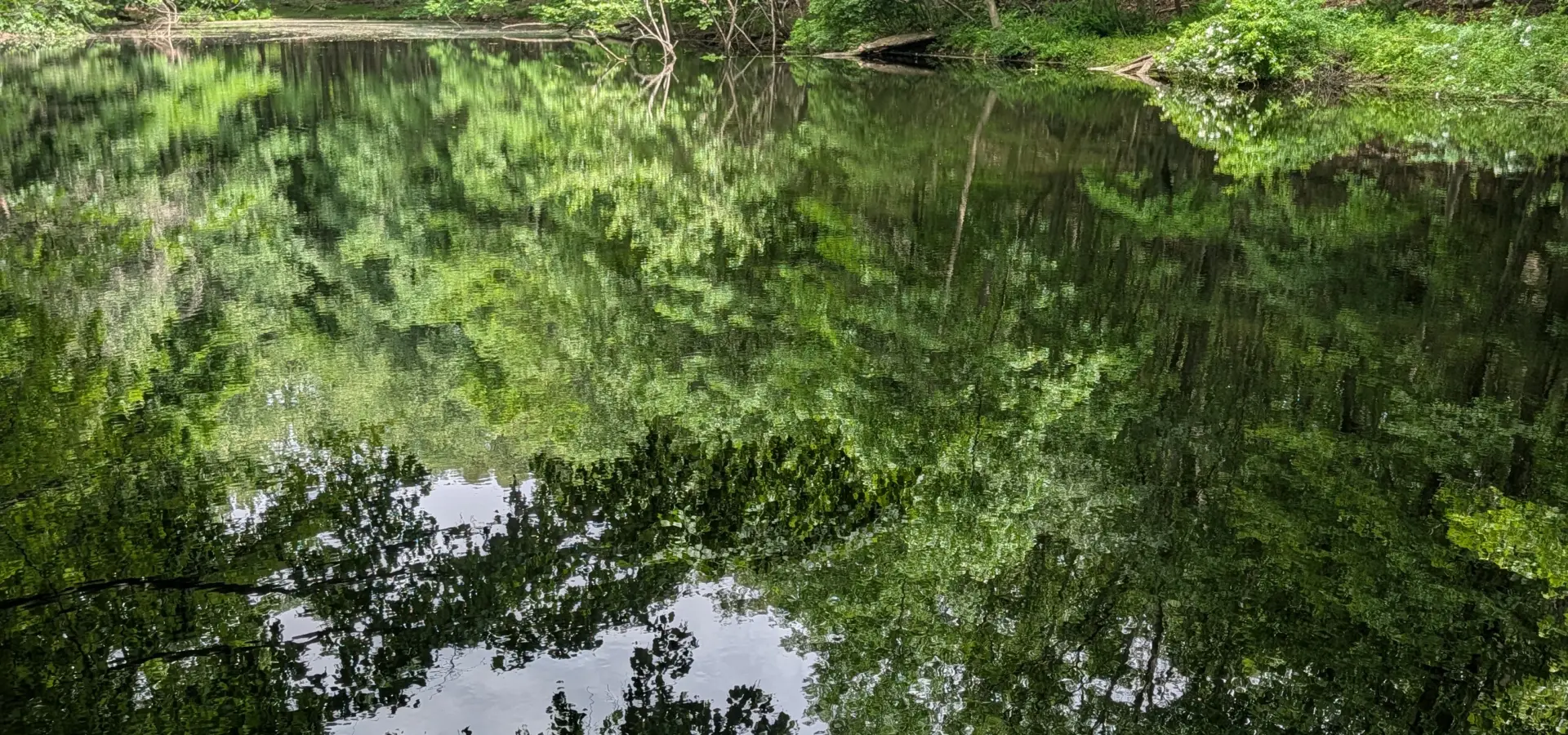The Irvington Woods – Hermit’s Grave, Macy’s Monument, Irvington Reservoir