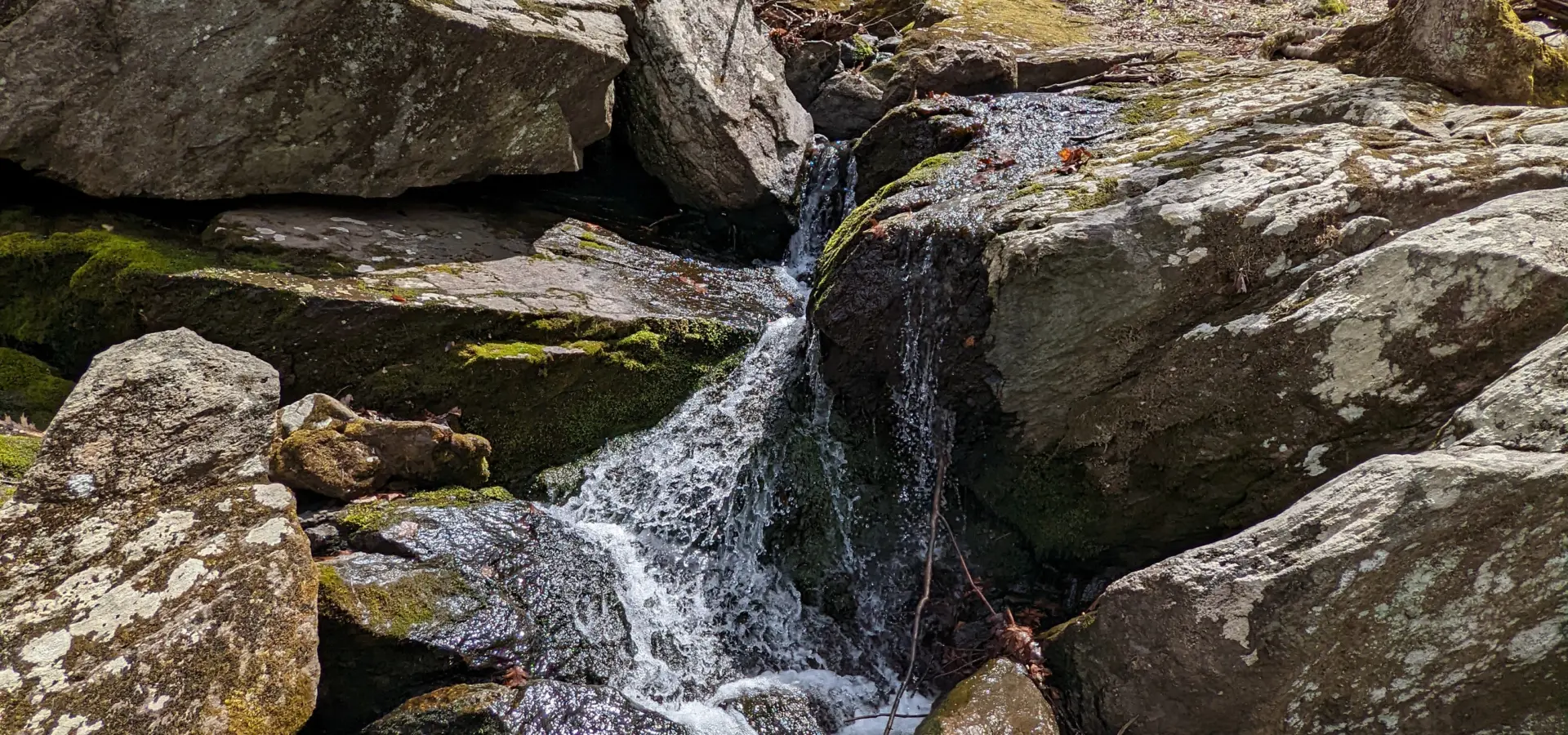 Teatown Lake Reservation – Three Lakes Loop, Overlook Loop, Lakeside Loop