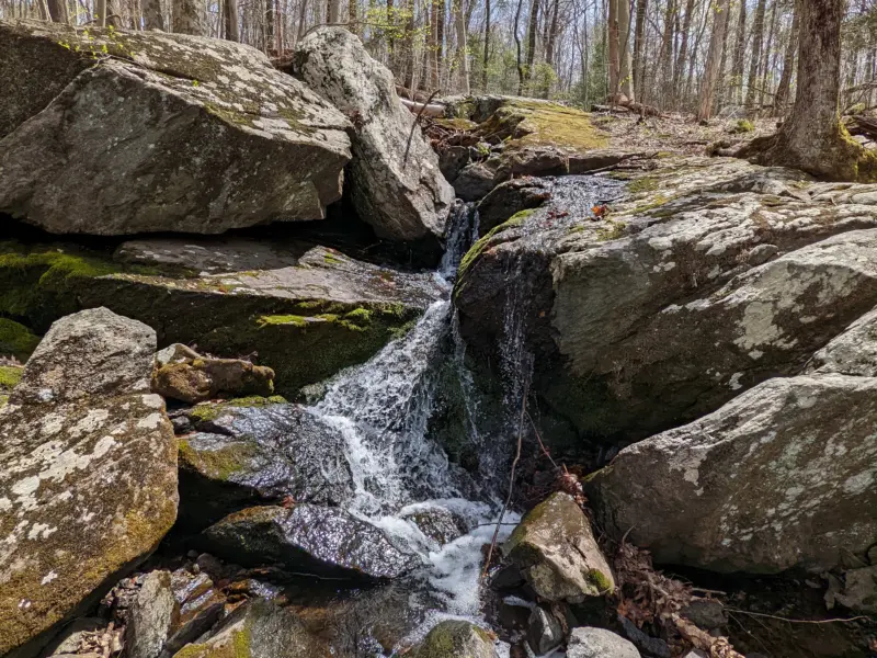 Teatown Lake Reservation – Three Lakes Loop, Overlook Loop, Lakeside Loop