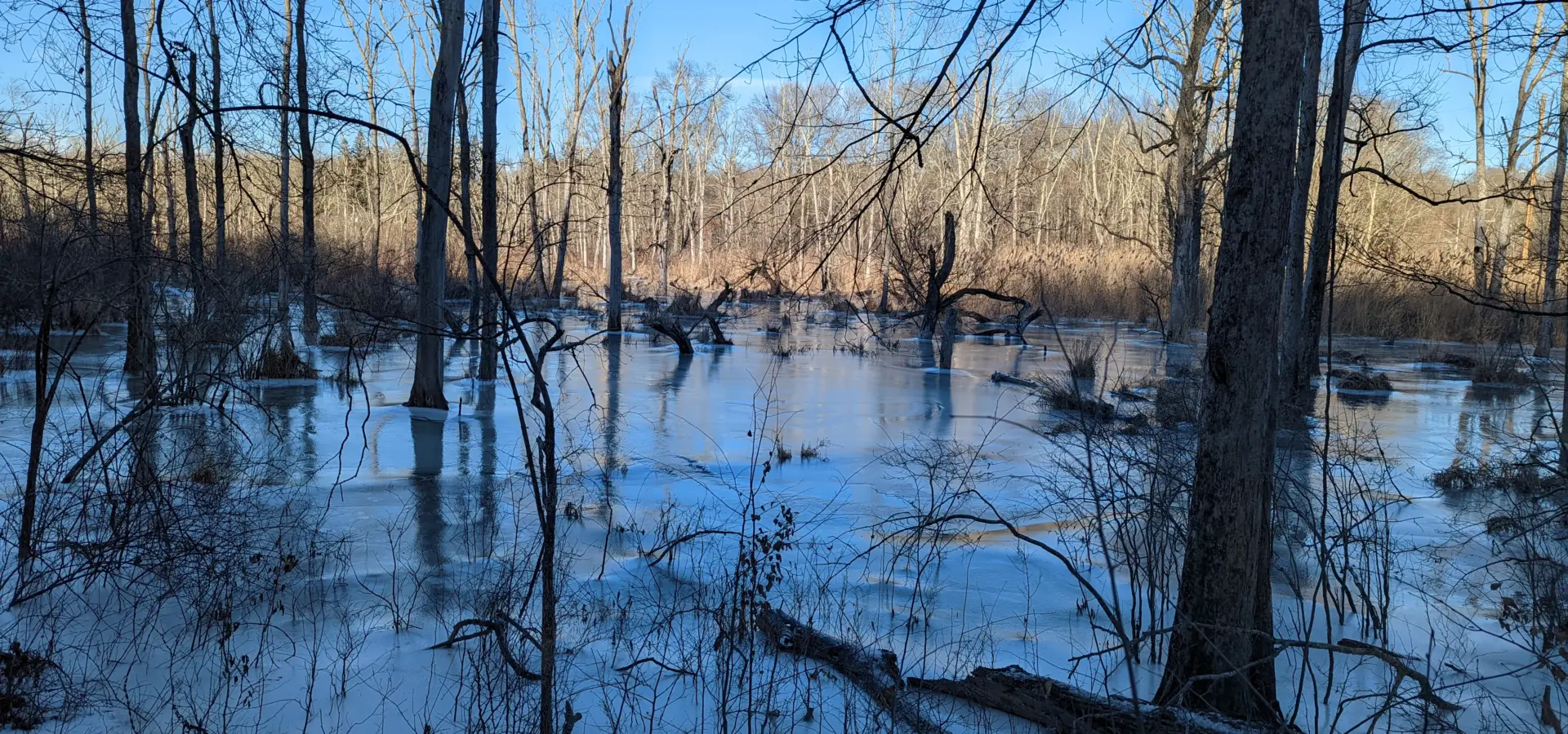 Ward Pound Ridge Reservation – Cross River, Kimberly Bridge, Deer Hollow
