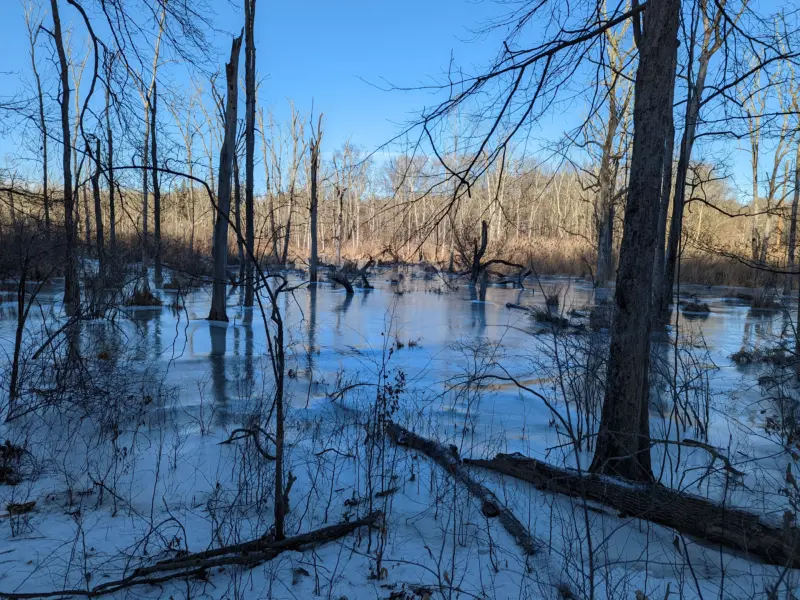 Ward Pound Ridge Reservation – Cross River, Kimberly Bridge, Deer Hollow