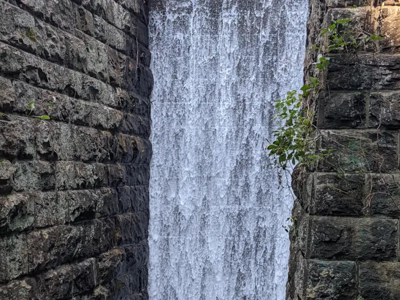 Eugene and Agnes Meyer Preserve – Byram Lake Reservoir, Aqueduct, Upper Meadows