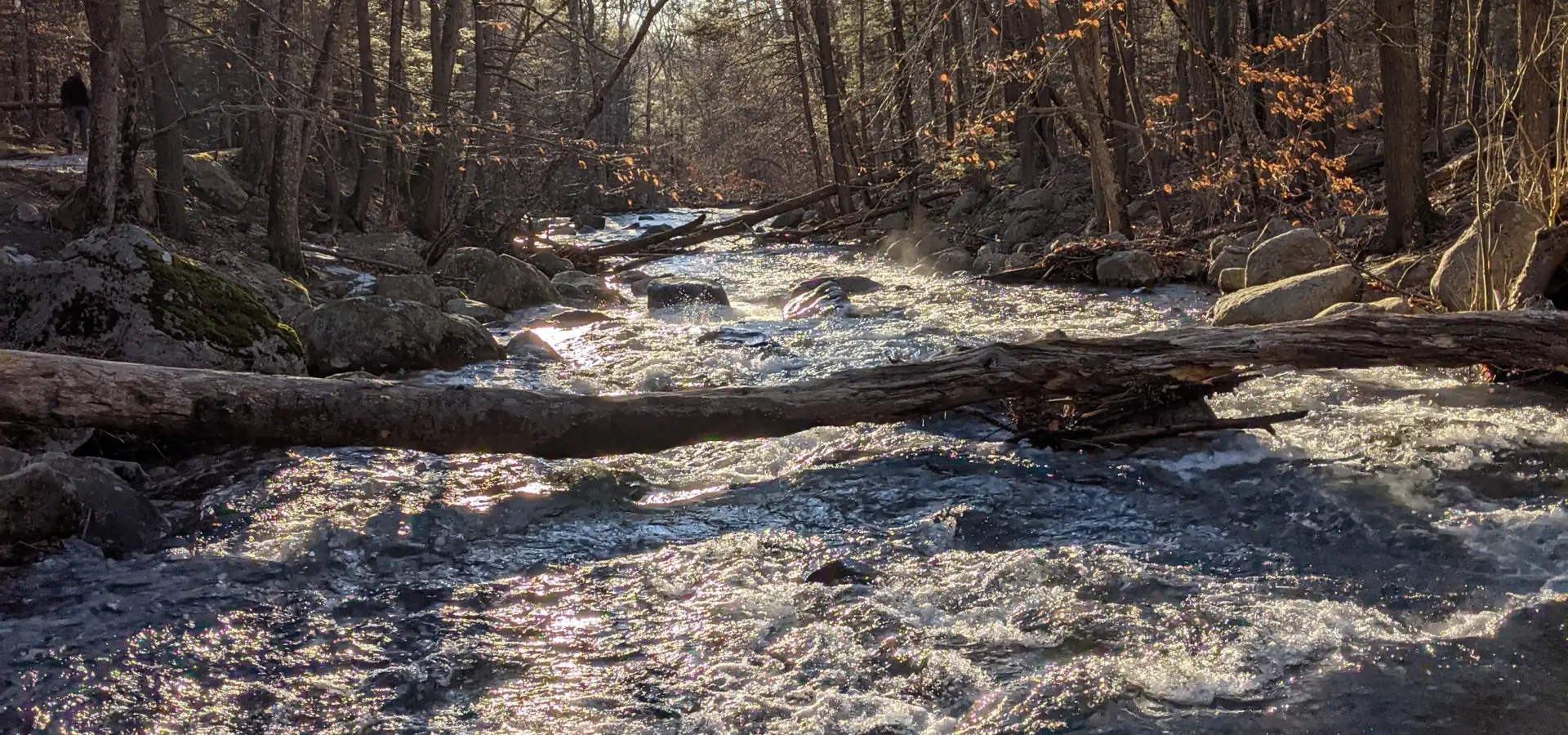 Harriman State Park – South Hill, Ramapo Torne, Russian Bear, Racoon Brook Hills