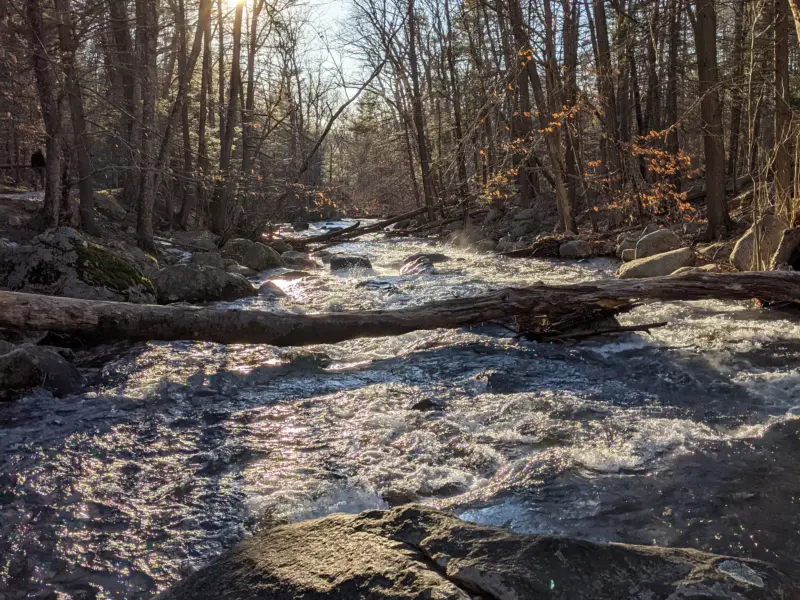 Harriman State Park – South Hill, Ramapo Torne, Russian Bear, Racoon Brook Hills