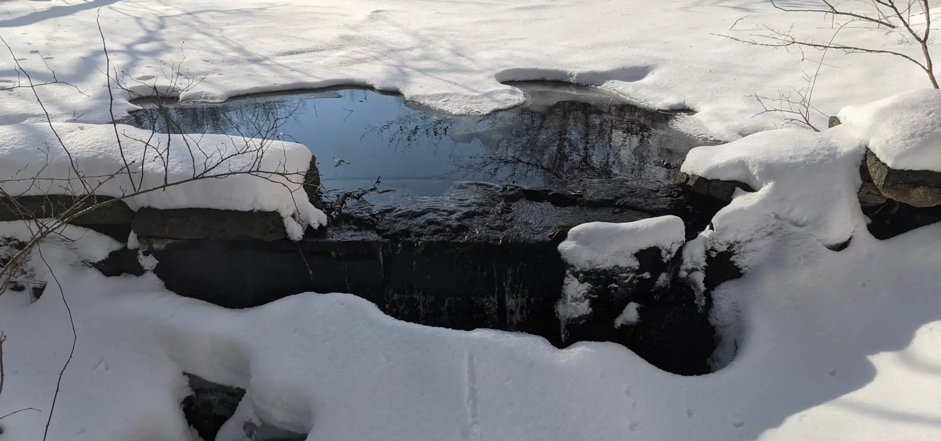 Westmoreland Sanctuary – Lost Pond, Cole Kettle Pond, Terrace Garden