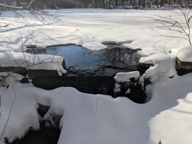 Westmoreland Sanctuary – Lost Pond, Cole Kettle Pond, Terrace Garden