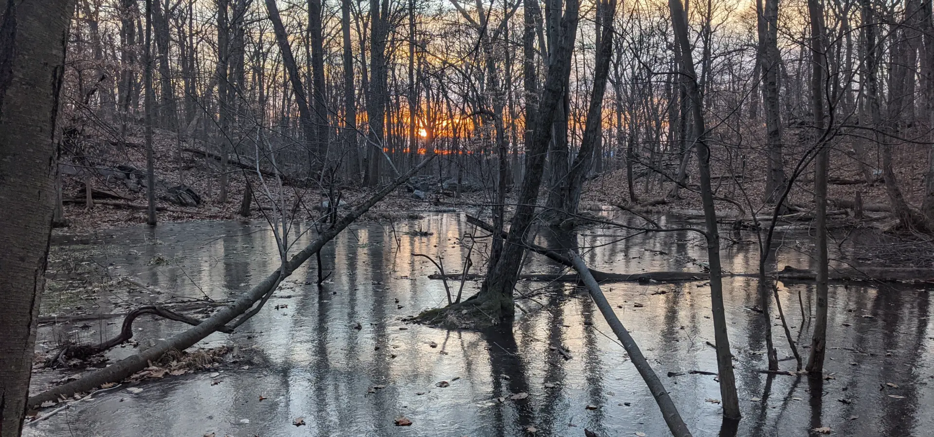 The Irvington Woods – Ice Pond, Memorial Loop, Hermit’s Grave, Hermit Wetlands