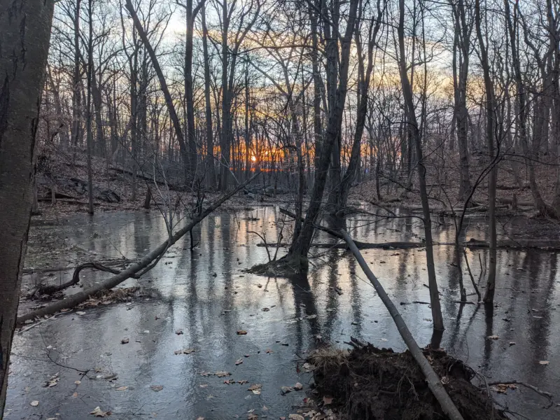 The Irvington Woods – Ice Pond, Memorial Loop, Hermit’s Grave, Hermit Wetlands