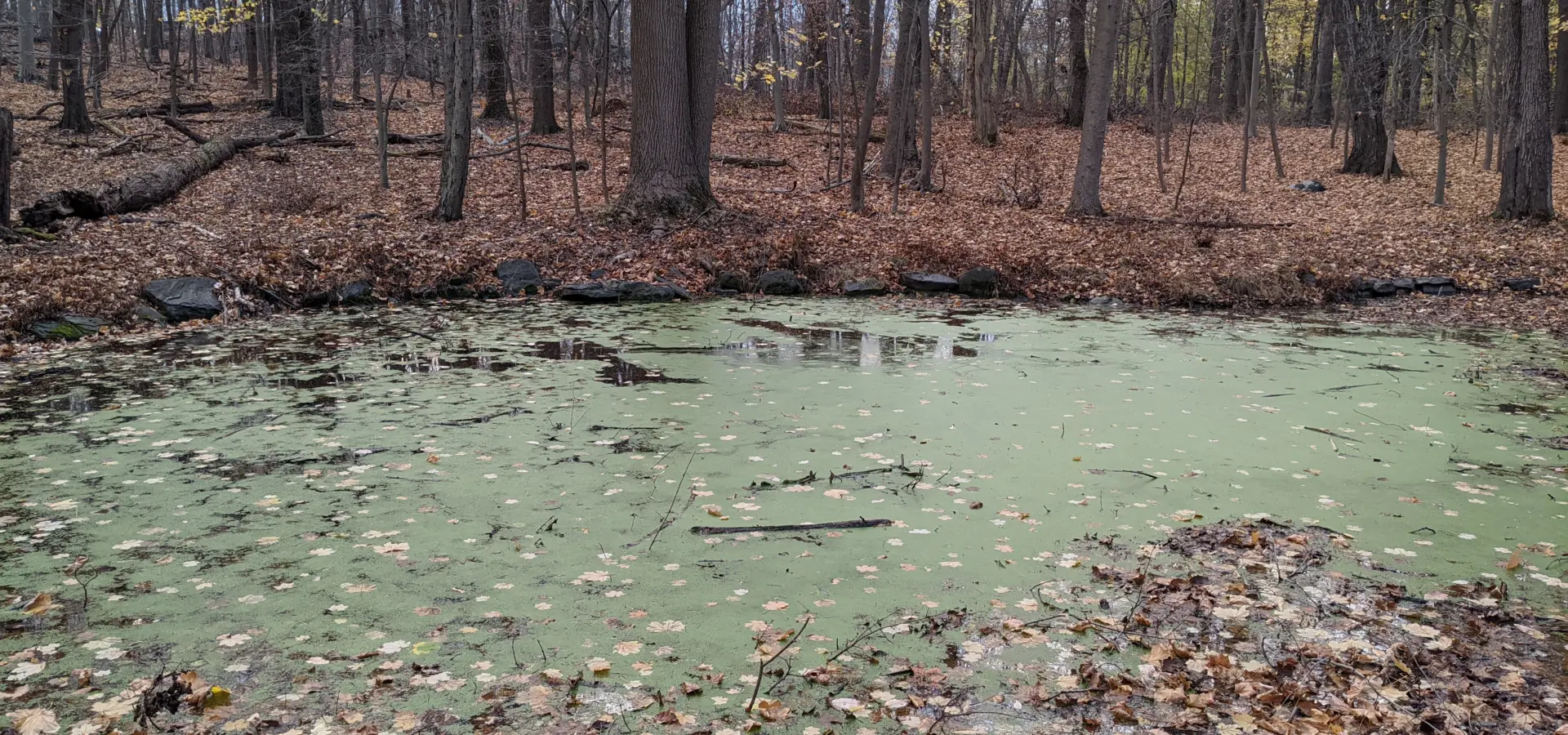 The Irvington Woods – Hermit’s Grave, Sunset Rock, Split Rock, Barney Brook, Ice Pond