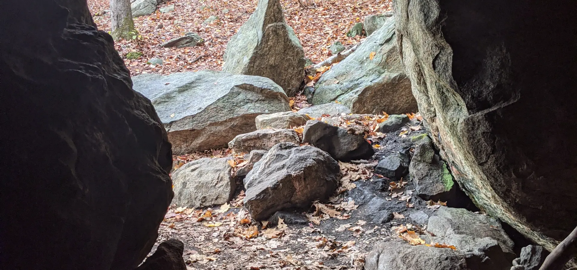 Ward Pound Ridge Reservation – Leatherman’s Cave, Wildflower Garden, Nature Museum