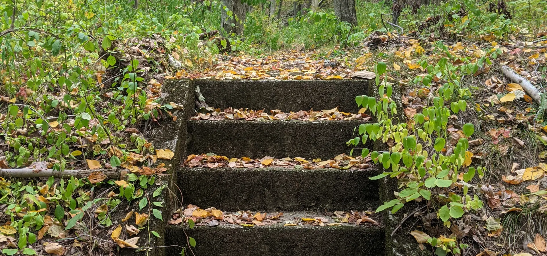 Ward Pound Ridge Reservation – Raven Rocks, CCC Camp, Castle Rock, Spy Rock, Dancing Rock