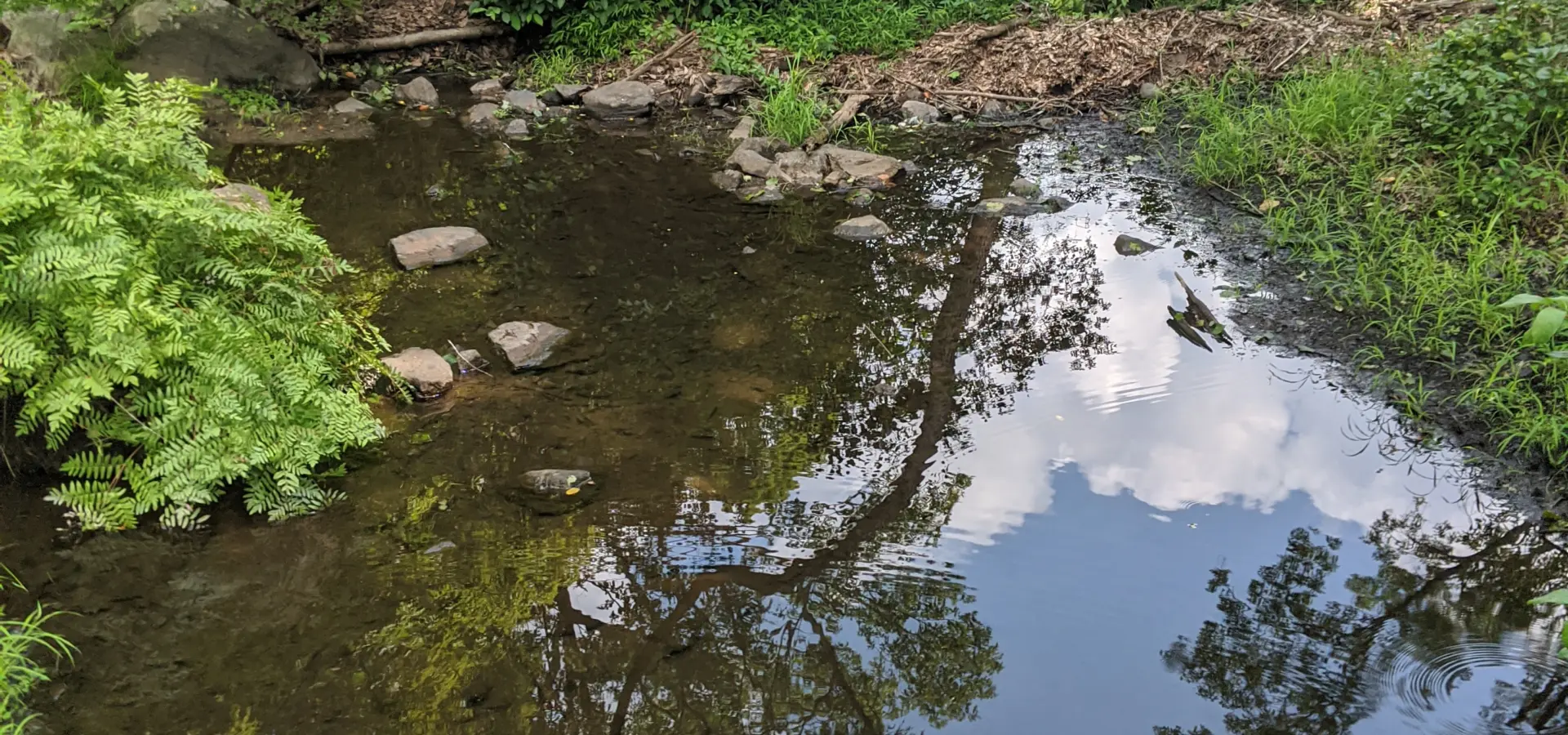 Fahnestock State Park – Pelton Pond, Three Lakes Trail, Canopus Lake, Candlewood Hill Trail
