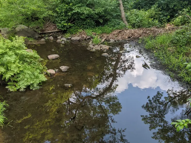 Fahnestock State Park – Pelton Pond, Three Lakes Trail, Canopus Lake, Candlewood Hill Trail