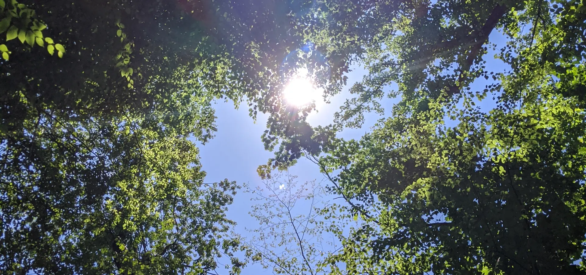 Taxter Ridge Park Preserve – Woody Crest, Danny Gold Blue Trail, Orange Trail