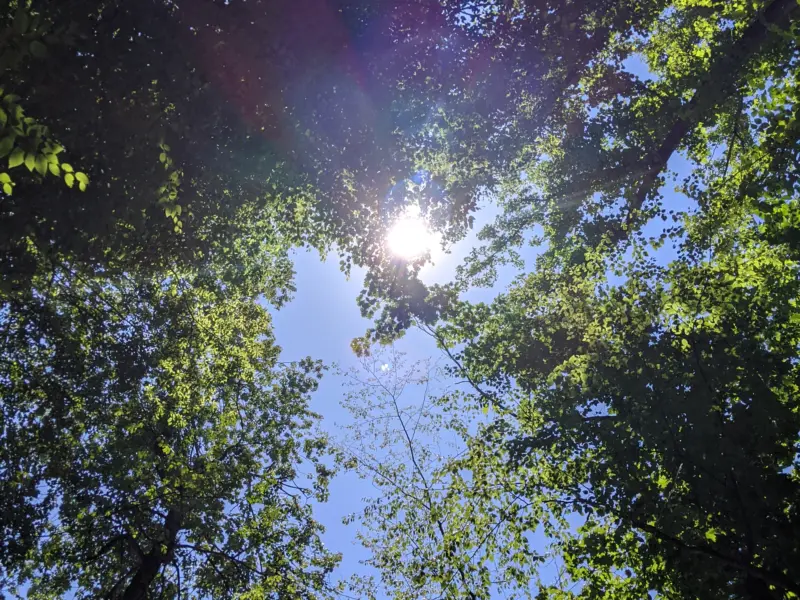 Taxter Ridge Park Preserve – Woody Crest, Danny Gold Blue Trail, Orange Trail