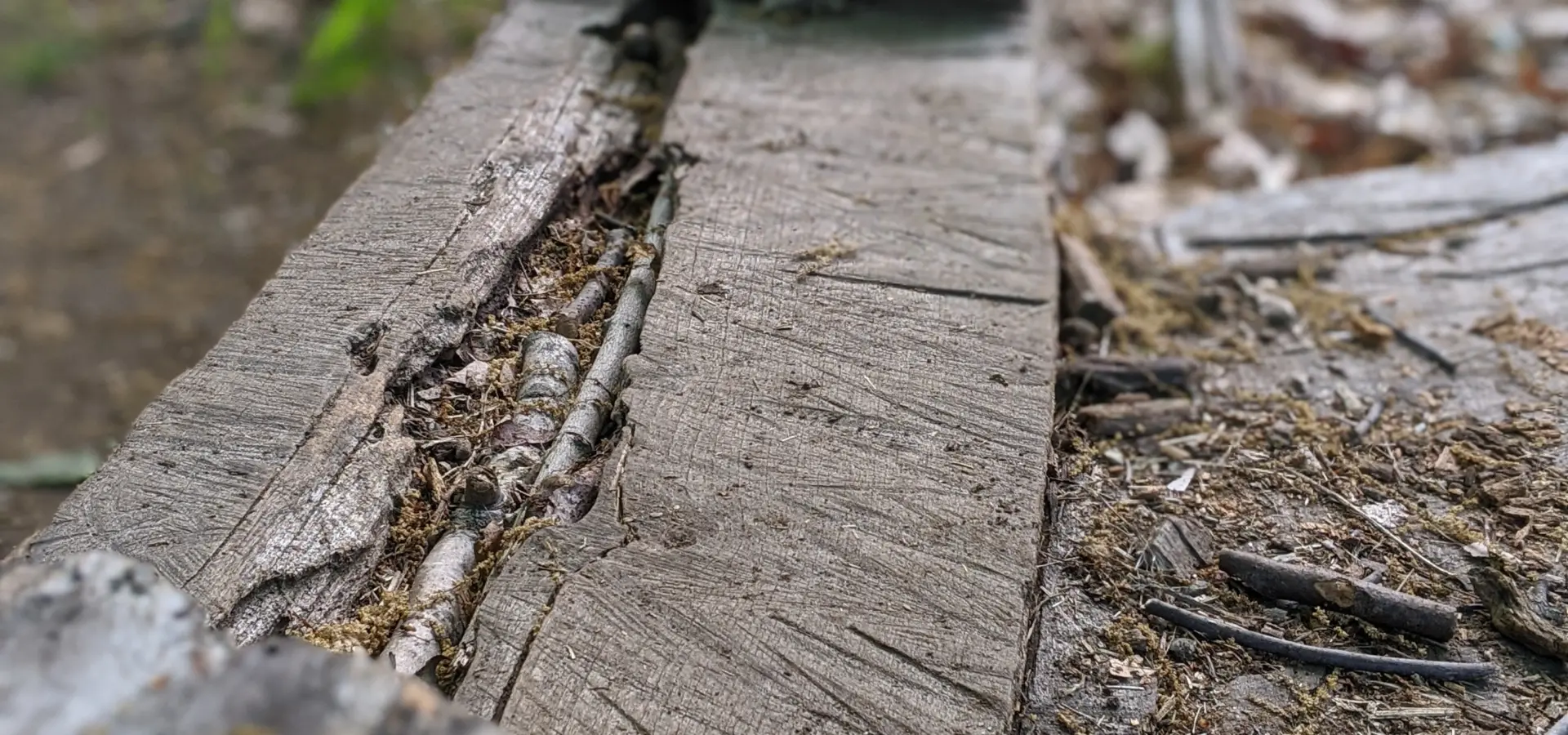 Taxter Ridge Park Preserve – Yellow Trail, Woody Crest, Danny Gold Blue Trail, Orange Trail