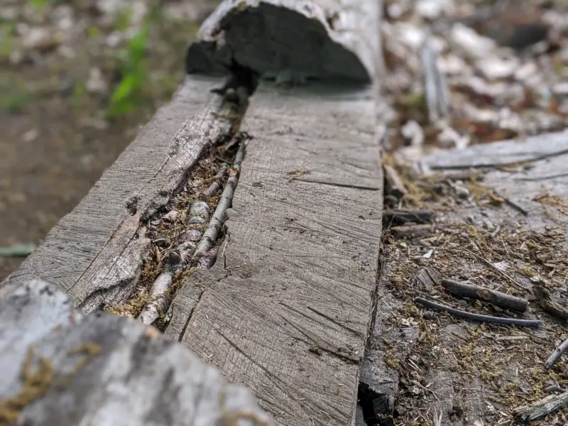 Taxter Ridge Park Preserve – Yellow Trail, Woody Crest, Danny Gold Blue Trail, Orange Trail