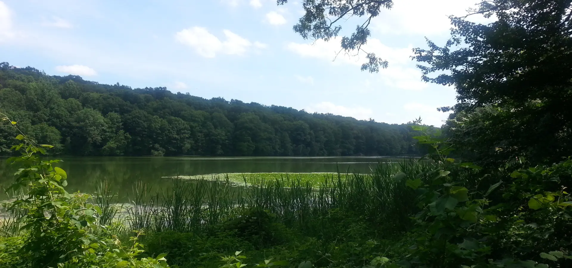 Rockefeller State Park Preserve – Brothers’ Path, Swan Lake