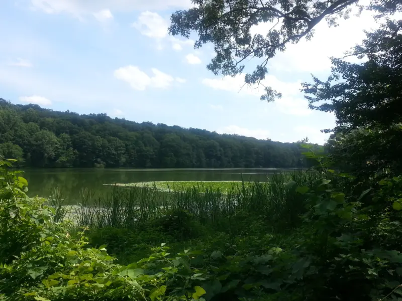 Rockefeller State Park Preserve – Brothers’ Path, Swan Lake