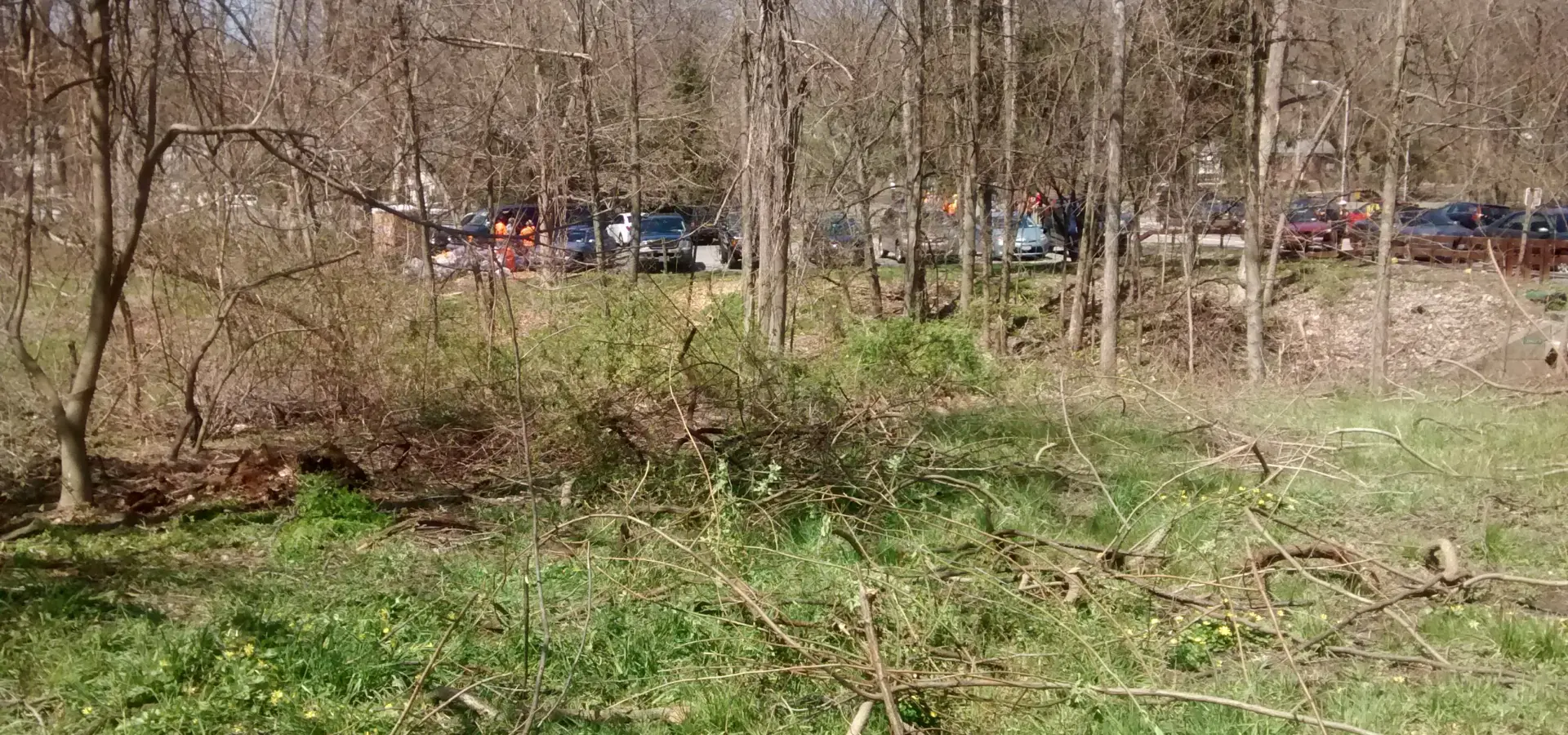 Great Saw Mill River Cleanup 2016 – Farragut Avenue,  Hastings