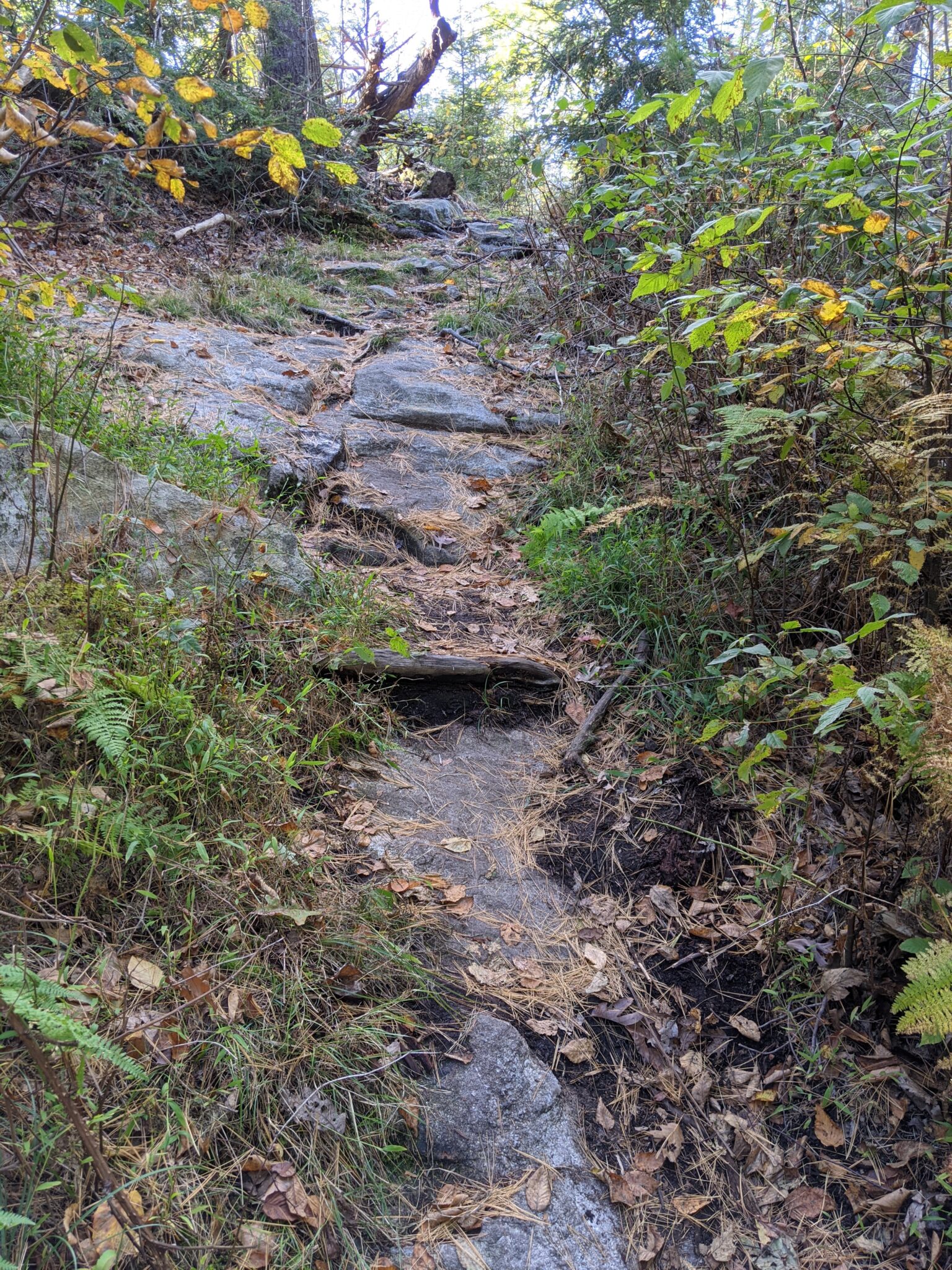 Harriman State Park Elk Pen, Island Pond, Lemon Squeezer, Bald Rocks